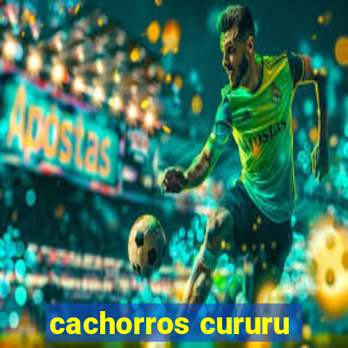 cachorros cururu